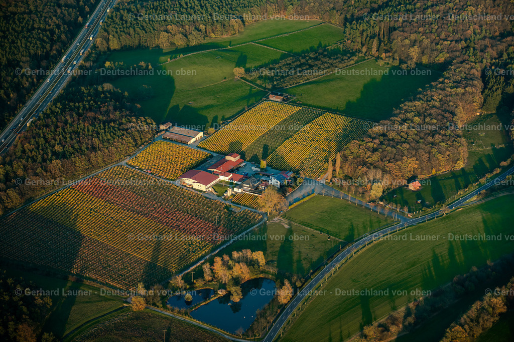 3306051 | Weinbergslandschaft an der Mainschleife bei Escherndorf und Nordheim
