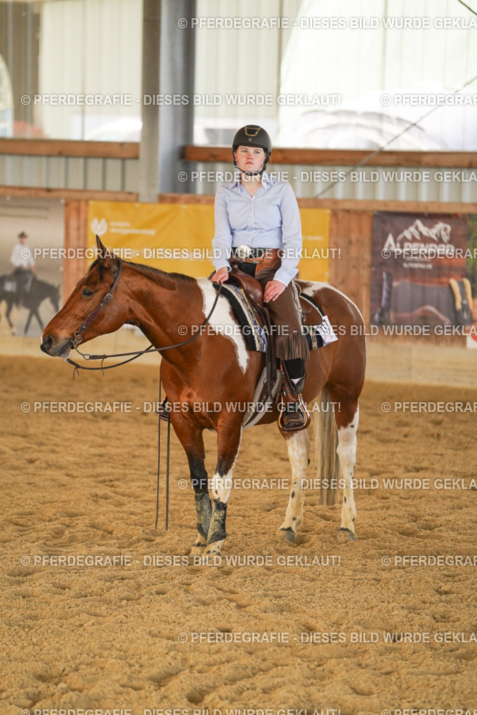 DSC08963 | Pferdegrafie