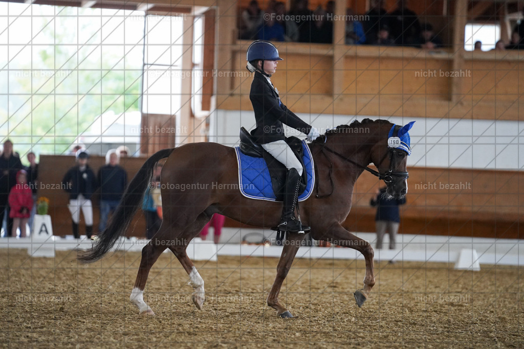 20240825-FAH09558 | Turnierbilder, Reitsportfotos, LAPO, Landesponyturnier, Turnierfotografen Bayern