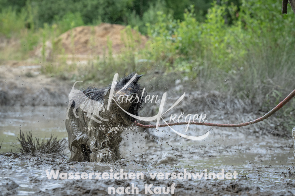 1021_ZZ92084 | kk-dogfotos