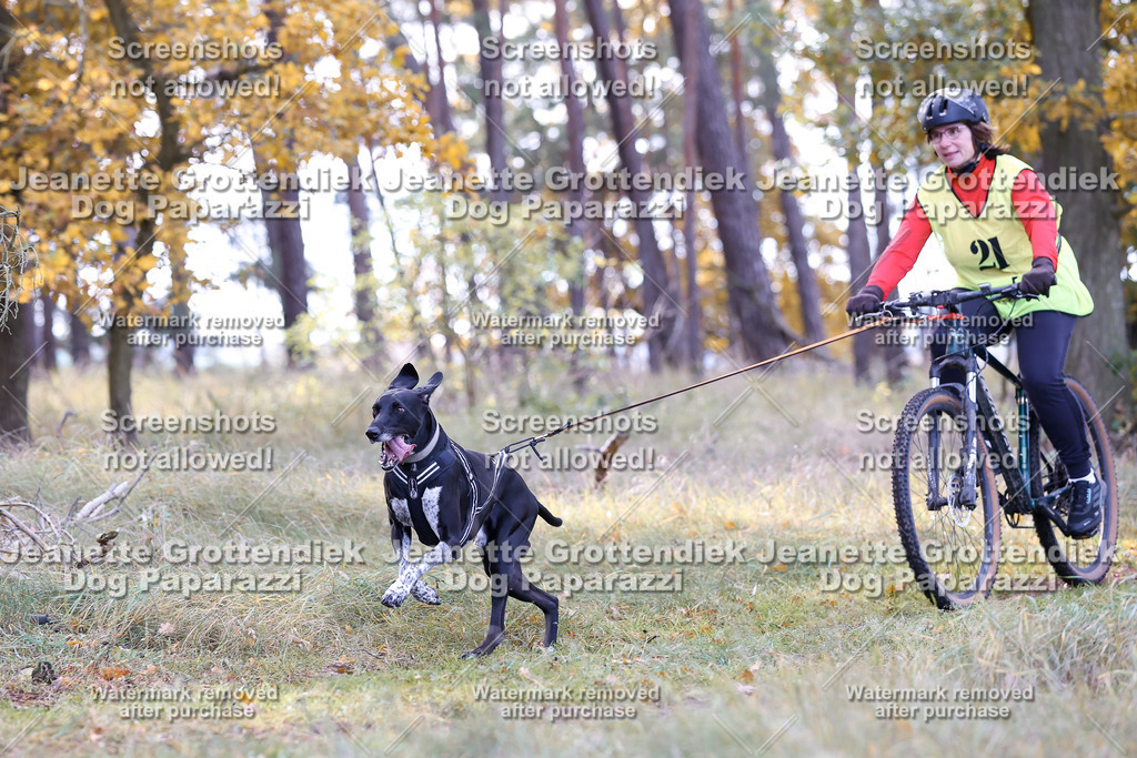 Dog Paparazzi - Elsholz 25 -103 | Dog Paparazzi Jeanette Grottendiek Fotografie & Videografie - Realisiert mit Pictrs.com