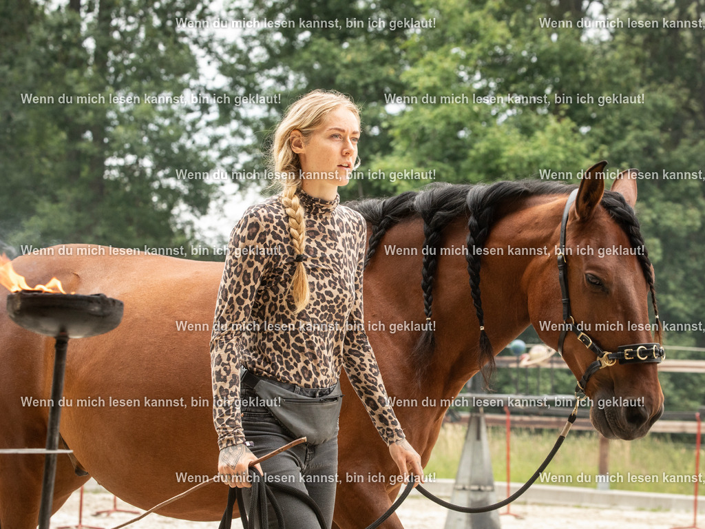 598A6518 | photographylinaismer - Realisiert mit Pictrs.com