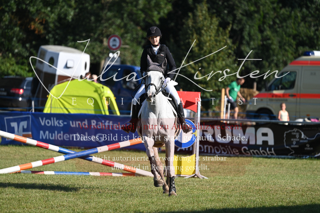 DSC_5073 | Pferde- und Turnierfotografie in Westsachsen. Pferdeportraits, Auftragszeichnungen und intuitive Kunst.