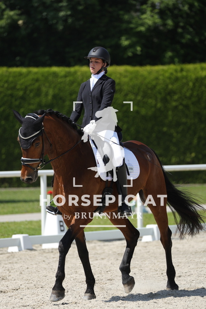 0P6A1191 | Willkommen bei Brunnmayr - Design & Fotografie – Ihrem Spezialisten für Reitturniere und Pferdeveranstaltungen in Oberösterreich, Salzburg und Bayern! Seit über 17 Jahren sind wir leidenschaftlich dabei.