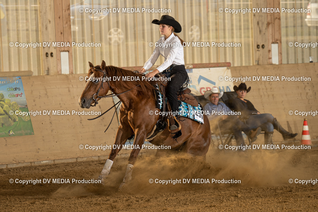 LAU02005 | dv-media-shop - Realisiert mit Pictrs.com