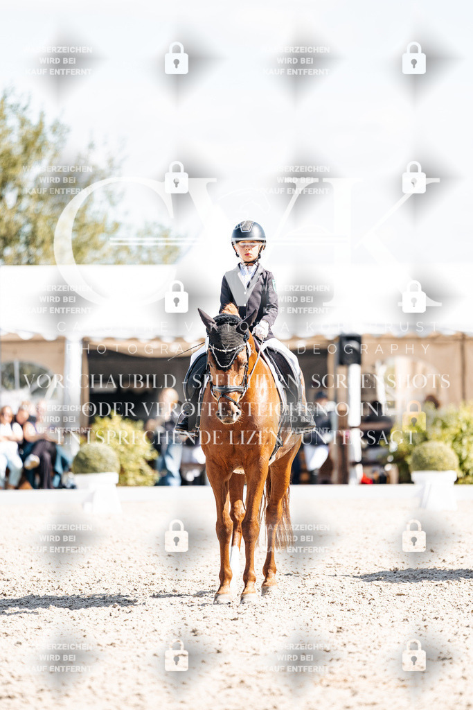 CK903123 | Turnierfotografie Pferdefotografie Trier Rheinland-Pfalz Pferdesport Reitsport Tierfotografie Sportfotografie Pferdevideo Pferdevideografie Equestrianvideography equestrianphotography  - Realisiert mit Pictrs.com