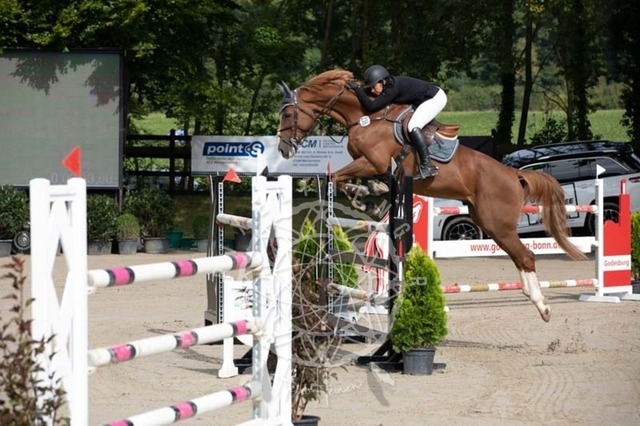 2B4A1271 | pixelfaenger - Realisiert mit Pictrs.com