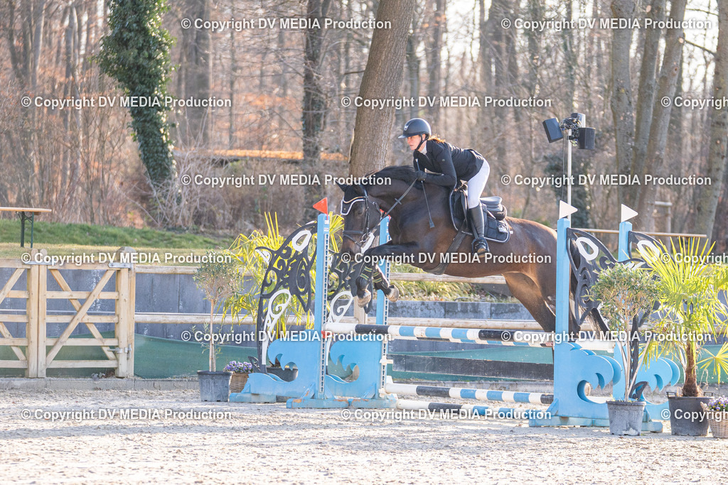 Kranichstein Tag 1-059 | dv-media-shop - Realisiert mit Pictrs.com