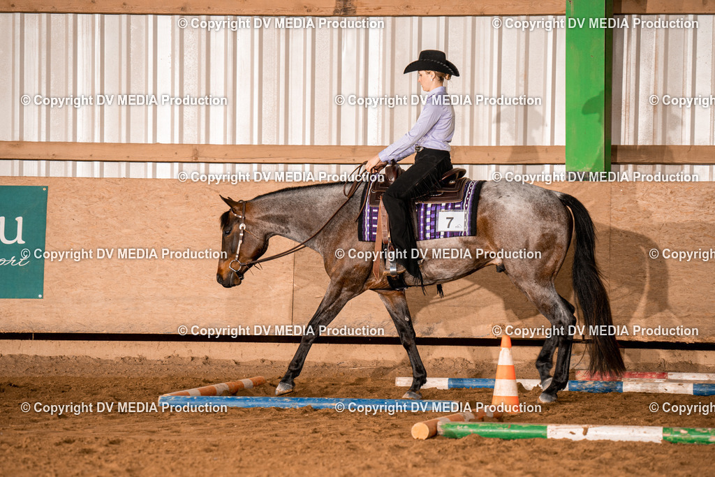 BA400199 | dv-media-shop - Realisiert mit Pictrs.com