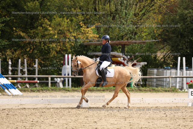 HG9A1529 | laurarinckfotografie - Realisiert mit Pictrs.com
