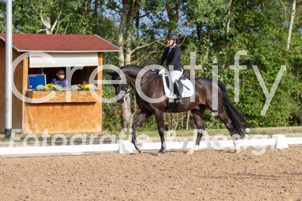 IMG_6027 | Creatify Fotografie