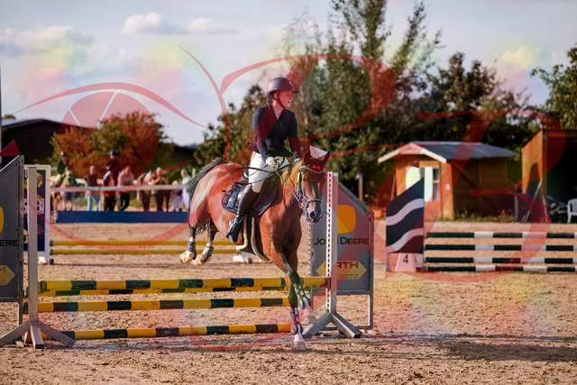 2026_10_03_Siefer-Hof_155324_Z81_72831349 | Professionelle Reitsport-, Turnier- und Eventfotografie von Robert Broda. Galerien mit ausgewählten und bearbeiteten Bildern direkt online ansehen und bestellen.
