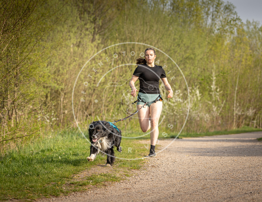 Pfotenfotografie_DV3A4654 | Hundefotografie, Tierfotograf, Pfotenfotografie, Fotoshooting Hund, Hunde Portrait, Hundesport, Hundeportraits, Heideshooting, Hunde, Sportfotograf, Hundefotograf, Turnierhundsport, THS,  - Realisiert mit Pictrs.com