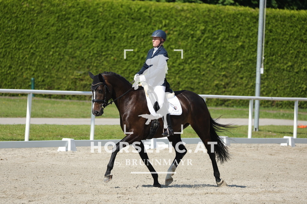 0P6A0394 | Willkommen bei Brunnmayr - Design & Fotografie – Ihrem Spezialisten für Reitturniere und Pferdeveranstaltungen in Oberösterreich, Salzburg und Bayern! Seit über 17 Jahren sind wir leidenschaftlich dabei.
