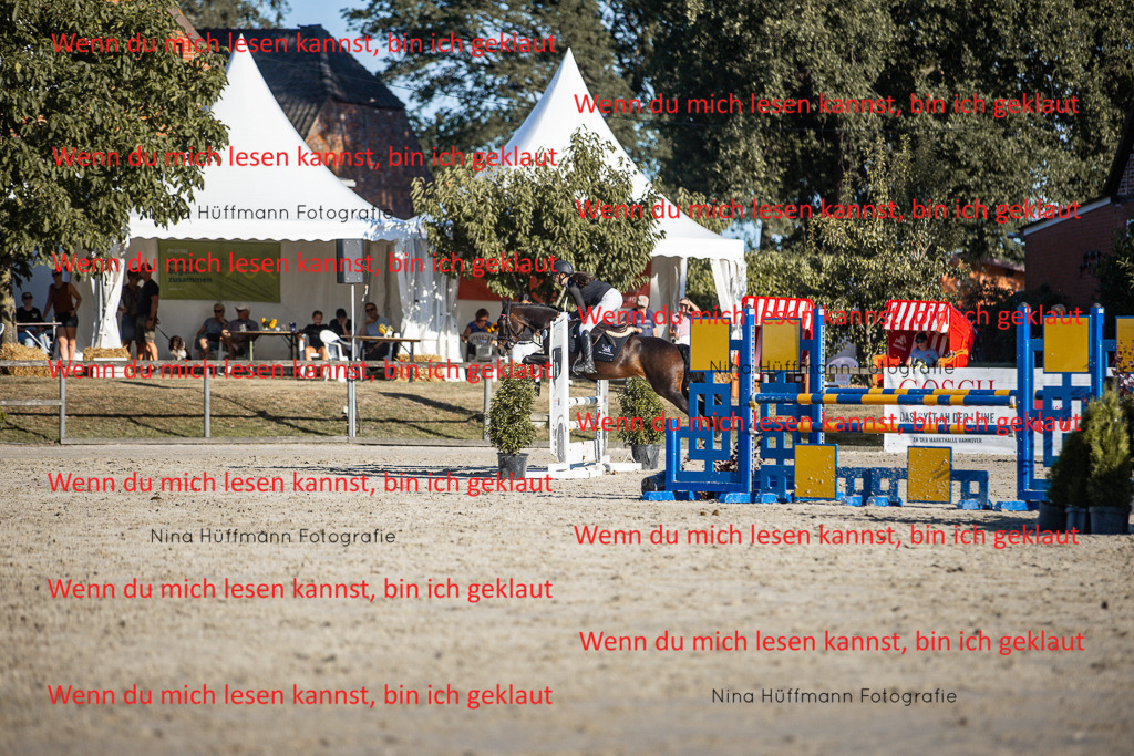 BK1A7845 | Turnierbilder Turnierfotos Nina Hüffmann Turnierfotografie Pferdefotografie Tierzeichnung Haustierzeichnung Pferdezeichnung Hundezeichnung Videograf  - Realisiert mit Pictrs.com