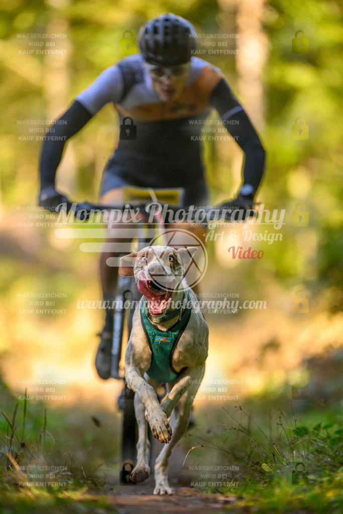MompixPhotography_Yens2025_B3-123 | PayLife