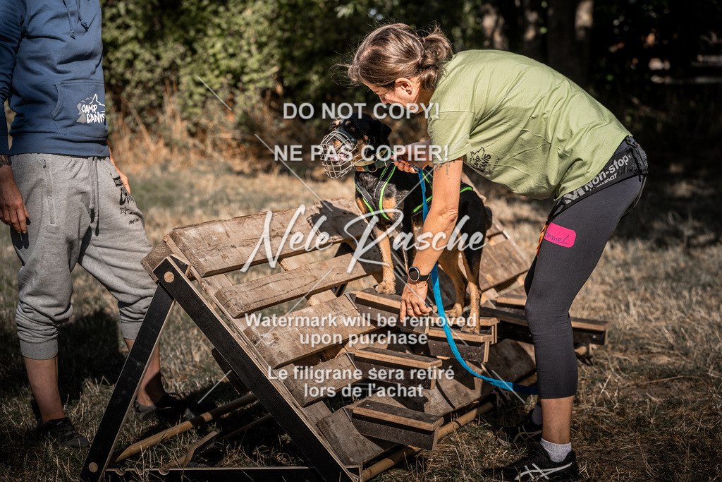 nelerasche_slaw24So_143 | nelerasche
