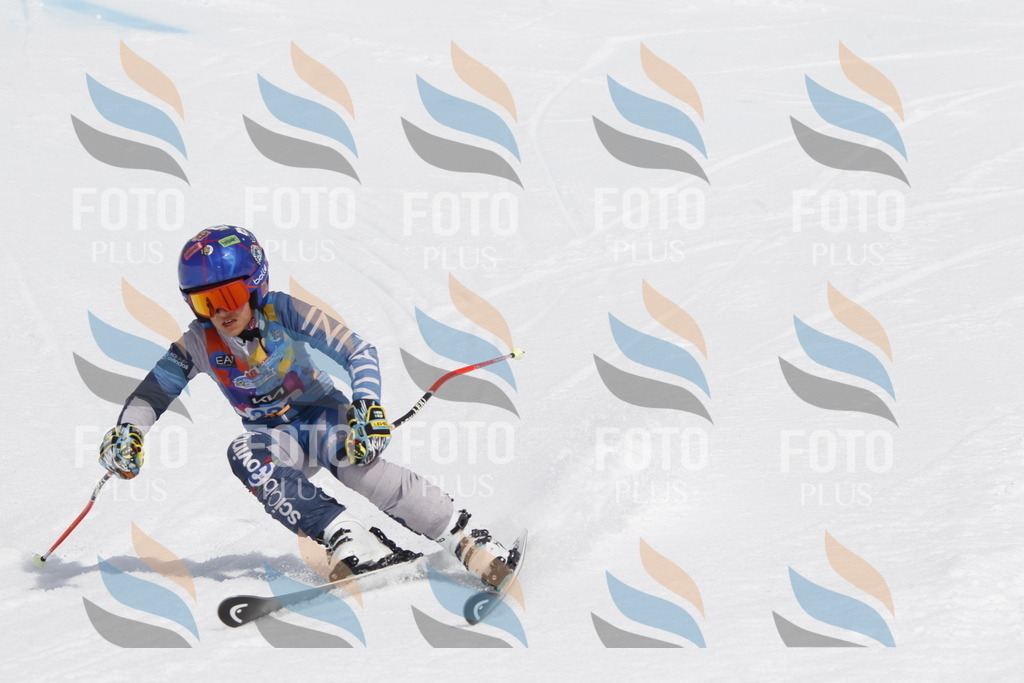 _U3G2393 | holidayphoto