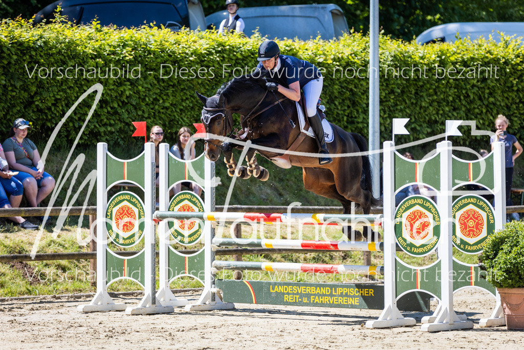 Donop24-Stil-L-057 | MomenTaufnahmen Pferdesportfotos