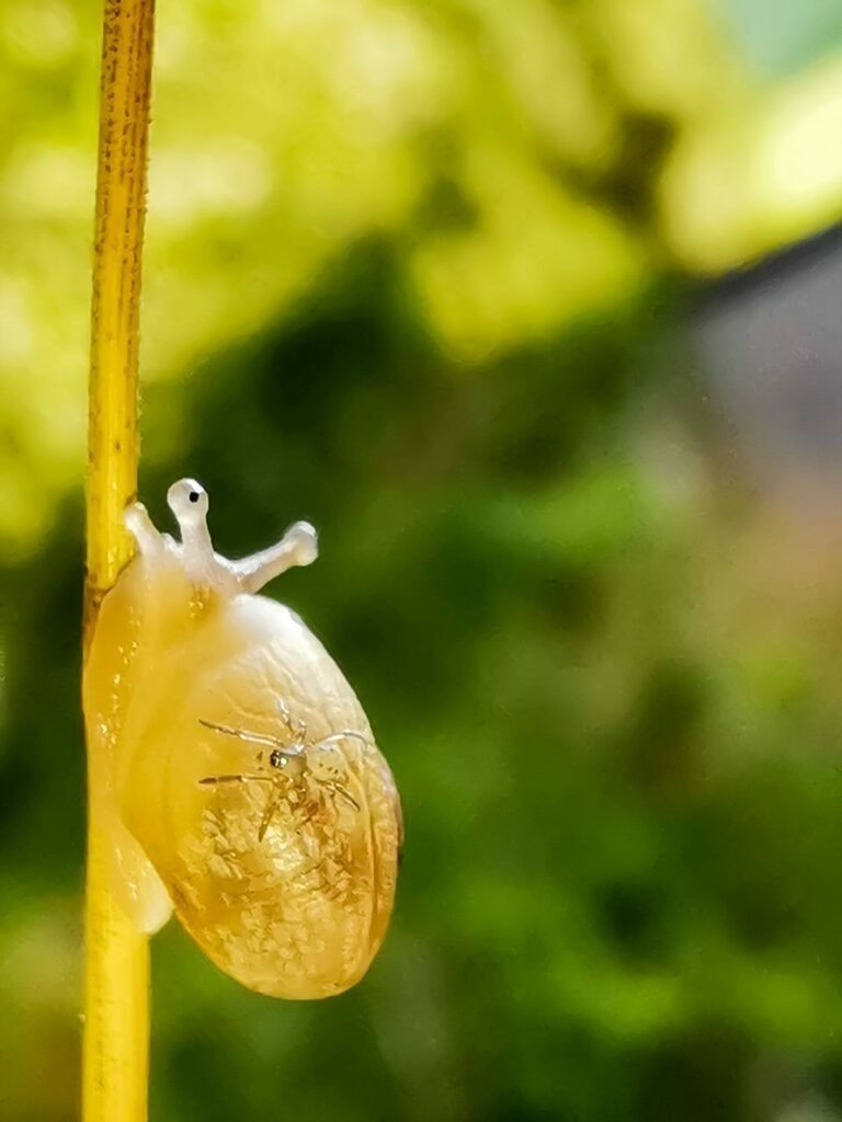 PSX_20220830_223749 | mtkfoto_ - Realisiert mit Pictrs.com