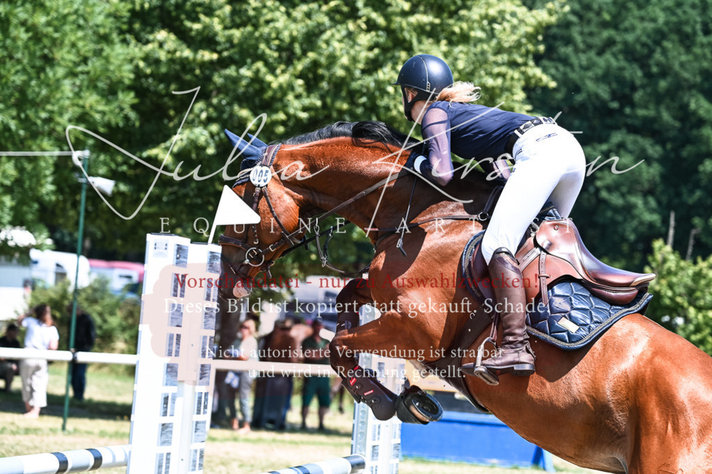 DSC_0179 | Pferde- und Turnierfotografie in Westsachsen. Pferdeportraits, Auftragszeichnungen und intuitive Kunst.
