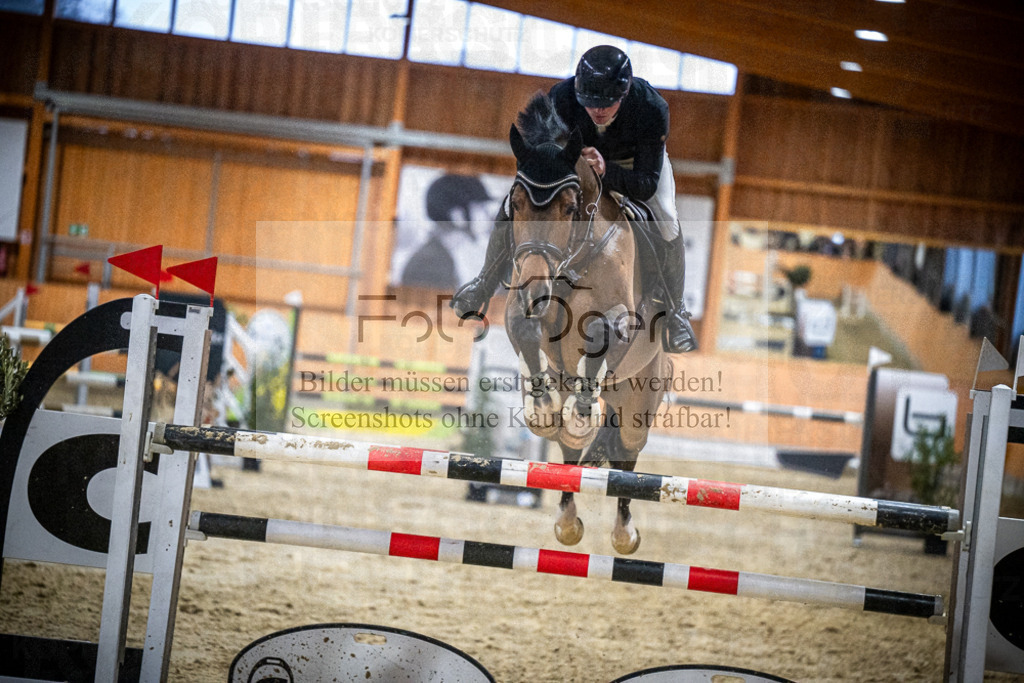 DOS_2341 | Entdecke hochwertige Reitturnierfotos von Foto Oger. Professionell, emotional und authentisch – jetzt Lieblingsmomente im Shop bestellen.Deutschlandweite Turnierfotografie. - Realisiert mit Pictrs.com
