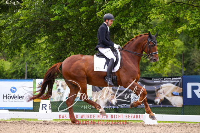 DKP40903 | Turnierfotos kaufen im Webshop von Daniel Kuhl Photography – entdecke professionelle Reitsportfotos aus Turnieren & Events. Hochwertige Turnierbilder online bestellen & sichern. Jetzt Fotos von Reitsportturnieren kaufen!
