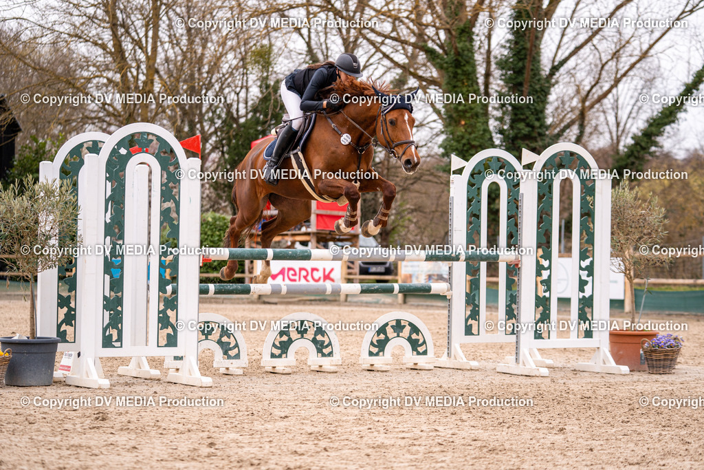 Kranichstein Tag 2-156 | dv-media-shop - Realisiert mit Pictrs.com