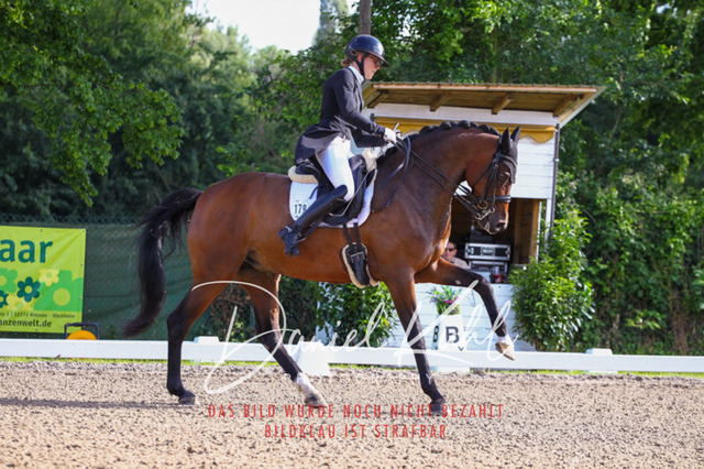 DKP41573 | Turnierfotos kaufen im Webshop von Daniel Kuhl Photography – entdecke professionelle Reitsportfotos aus Turnieren & Events. Hochwertige Turnierbilder online bestellen & sichern. Jetzt Fotos von Reitsportturnieren kaufen!