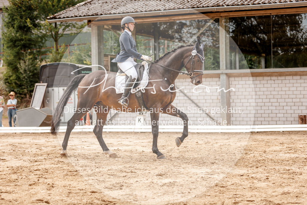 3I6A3647 | Stimmungsvolle Portraits und Reitsportfotografie im Ruhrgebiet und im Münsterland.

Pferdefotografie, Hundefotografie, Tierfotografie, Reportagen, Portraits von Tier und Mensch, Turnierfotografie in Bochum, Recklinghausen, Marl, Haltern am See, Dülmen.. - Realisiert mit Pictrs.com