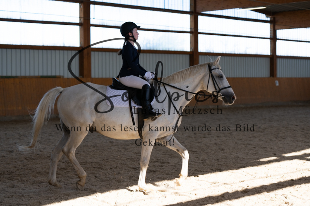 A7V02184 | Pferdefotograf