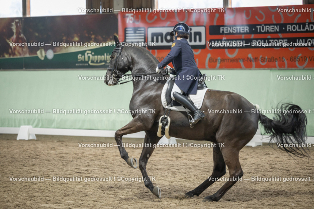 _D5A6851 | Emotionale Pferde- & People-Fotografie rund um Heidelberg, Leimen & Umgebung. Natürliche Fotos von Pferd, Mensch & Familie. Jetzt Termin sichern!