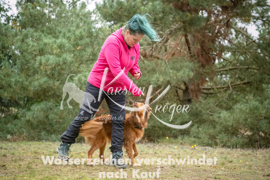 1452_ZZ93736-2-Bearbeitet | kk-dogfotos