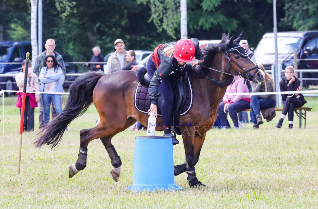 1B3A2377 | Reitsport Reiten