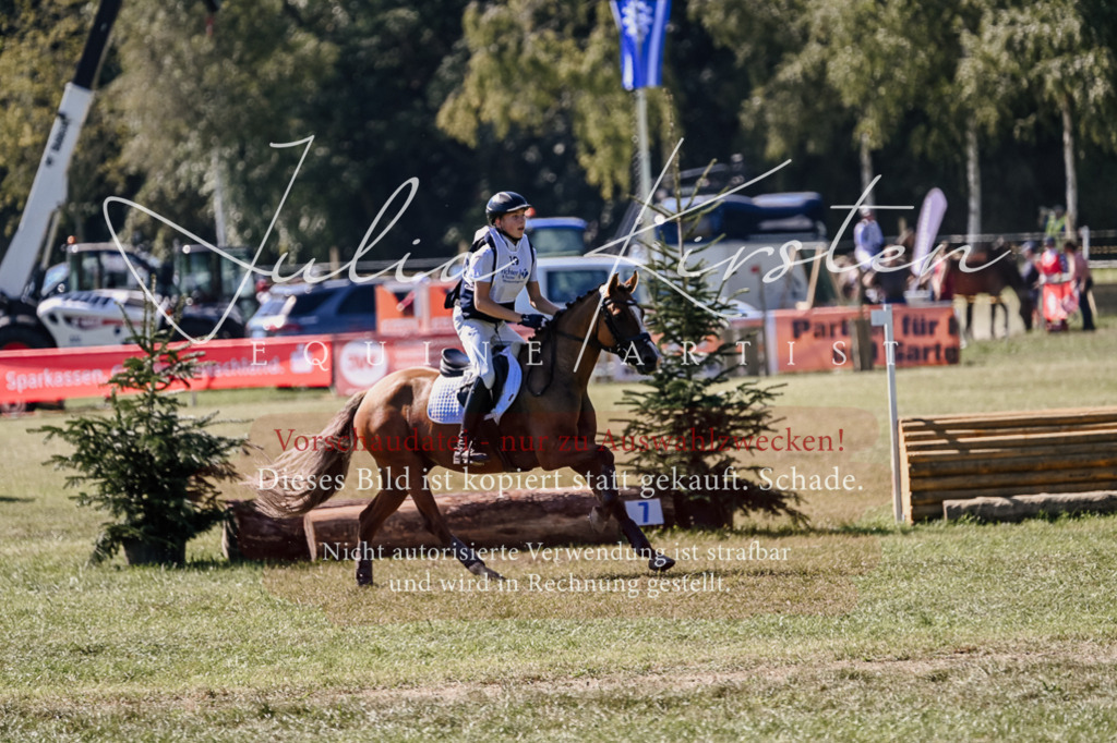 DSC_2088 | Pferde- und Turnierfotografie in Westsachsen. Pferdeportraits, Auftragszeichnungen und intuitive Kunst.