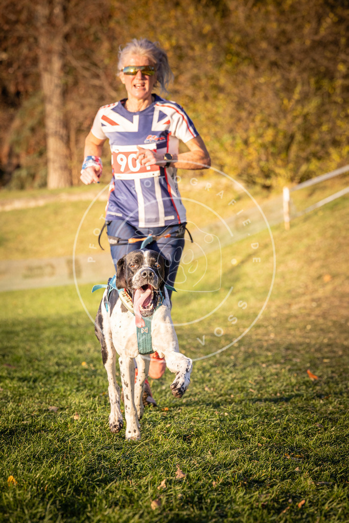 CaniXpix_0L8A1342 | Hundefotografie, Tierfotograf, Pfotenfotografie, Fotoshooting Hund, Hunde Portrait, Hundesport, Hundeportraits, Heideshooting, Hunde, Sportfotograf, Hundefotograf, Turnierhundsport, THS,  - Realisiert mit Pictrs.com