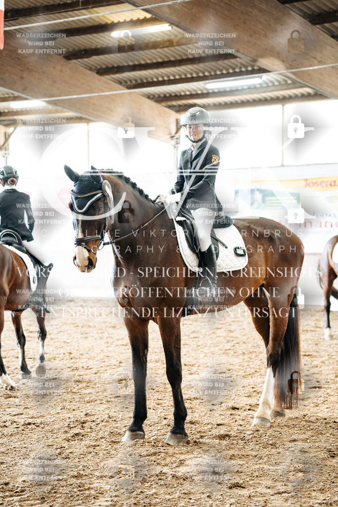 CK703136 | Turnierfotografie Pferdefotografie Trier Rheinland-Pfalz Pferdesport Reitsport Tierfotografie Sportfotografie Pferdevideo Pferdevideografie Equestrianvideography equestrianphotography  - Realisiert mit Pictrs.com