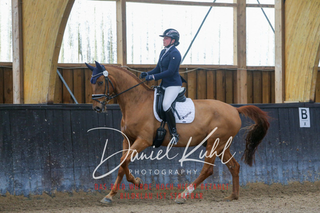 IMG_0328 | Turniersportfotografie; Pferdefotografie; Dressurfotografie