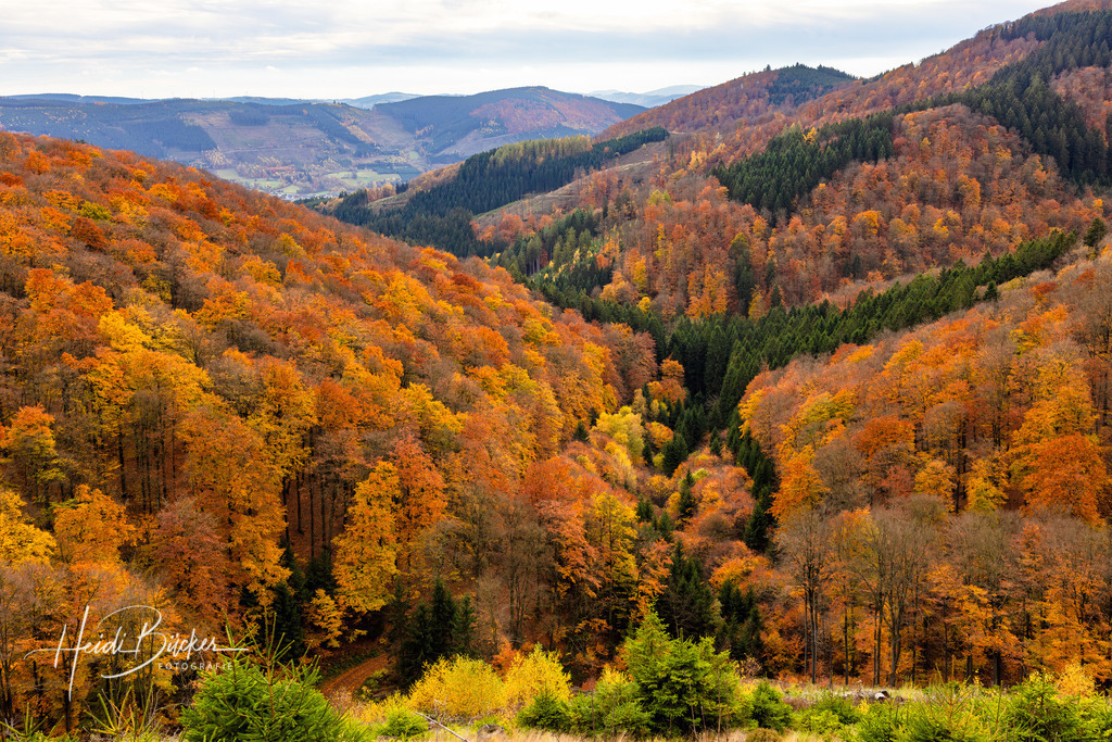 Herbst im Sauerland | Herbst im Sauerland - Realisiert mit Pictrs.com
