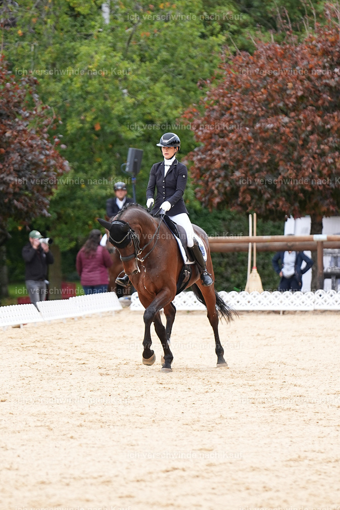 3-197-Dressur M_-Marixx-1945 | working equitationturnier fotograf videograf stoibphotography marixx film working equitation deutschland reitsport turnierfotografie eventfotografie equestrian events