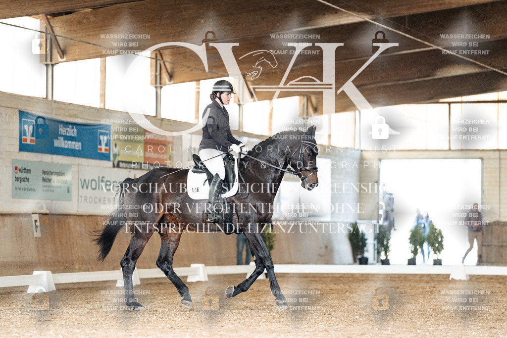 CK902074 | Turnierfotografie Pferdefotografie Trier Rheinland-Pfalz Pferdesport Reitsport Tierfotografie Sportfotografie Pferdevideo Pferdevideografie Equestrianvideography equestrianphotography  - Realisiert mit Pictrs.com