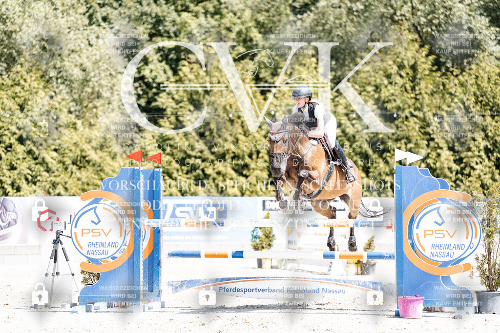 CK900238 | Turnierfotografie Pferdefotografie Trier Rheinland-Pfalz Pferdesport Reitsport Tierfotografie Sportfotografie Pferdevideo Pferdevideografie Equestrianvideography equestrianphotography  - Realisiert mit Pictrs.com