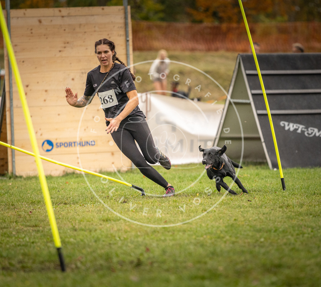 Pfotenfotografie_DV3A7567 | Hundefotografie, Tierfotograf, Pfotenfotografie, Fotoshooting Hund, Hunde Portrait, Hundesport, Hundeportraits, Heideshooting, Hunde, Sportfotograf, Hundefotograf, Turnierhundsport, THS,  - Realisiert mit Pictrs.com