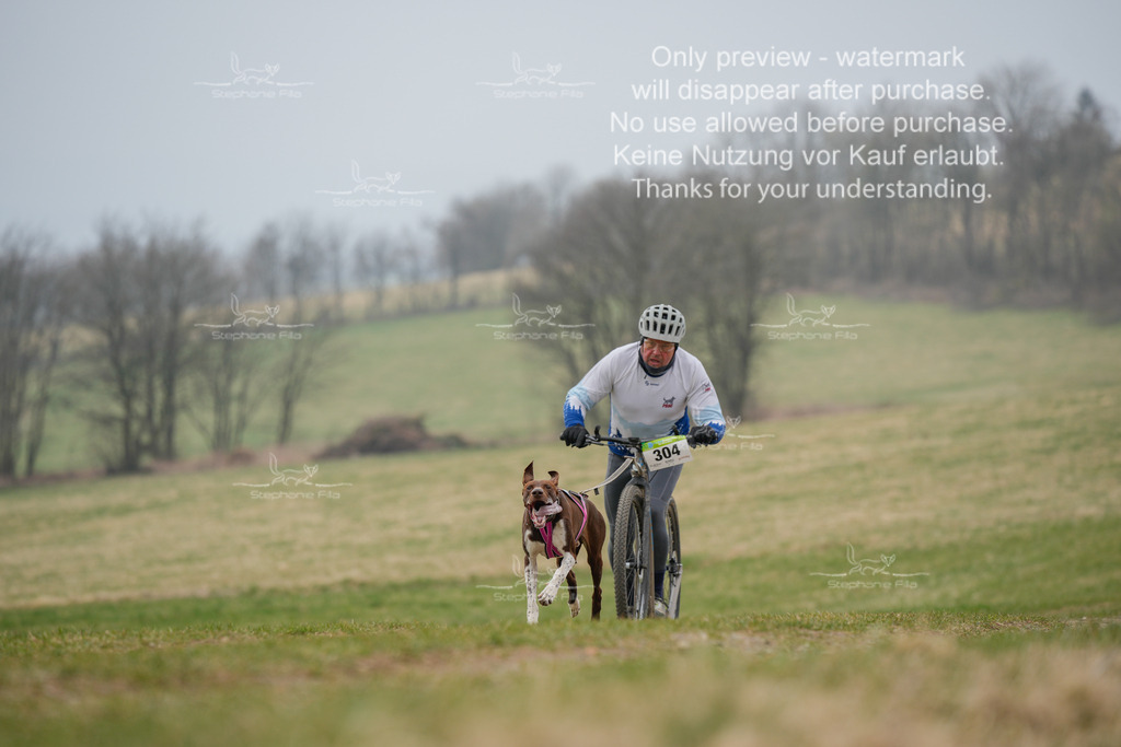 ScooterSA-22 | stephaniefillaphotographie - Realisiert mit Pictrs.com