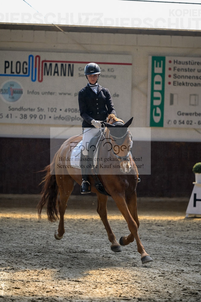 Reitturnier Voxtrup | Entdecke hochwertige Reitturnierfotos von Foto Oger. Professionell, emotional und authentisch – jetzt Lieblingsmomente im Shop bestellen.Deutschlandweite Turnierfotografie. - Realisiert mit Pictrs.com