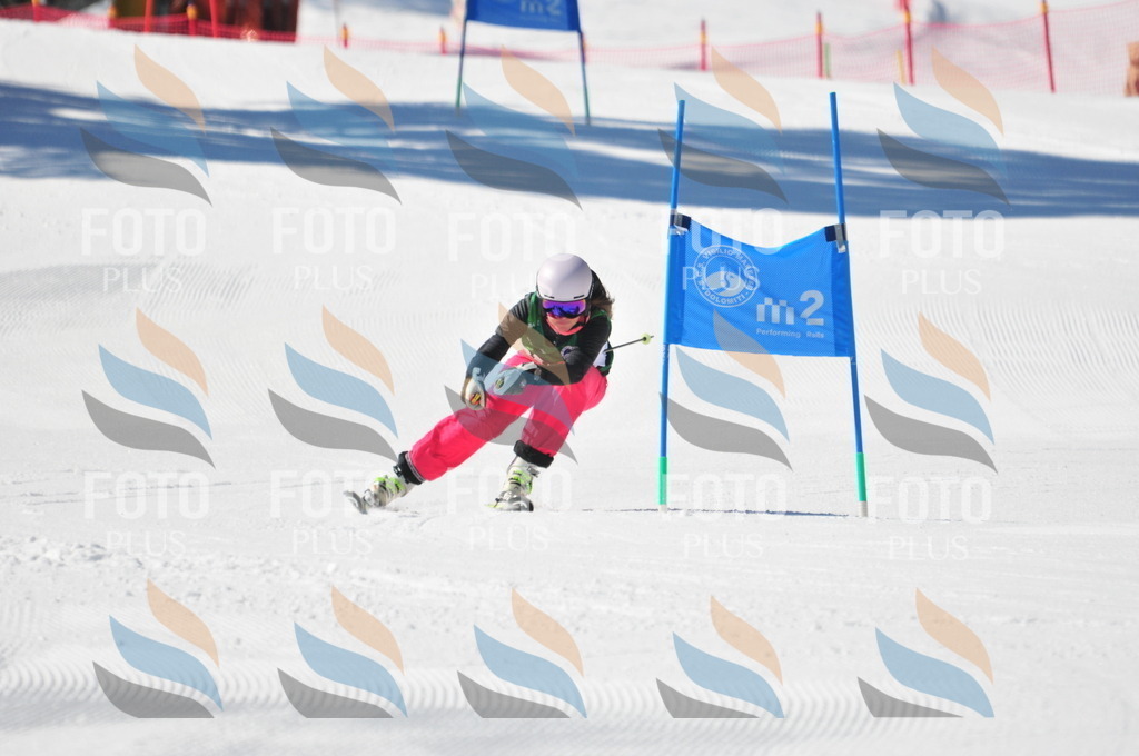 C4164 | holidayphoto