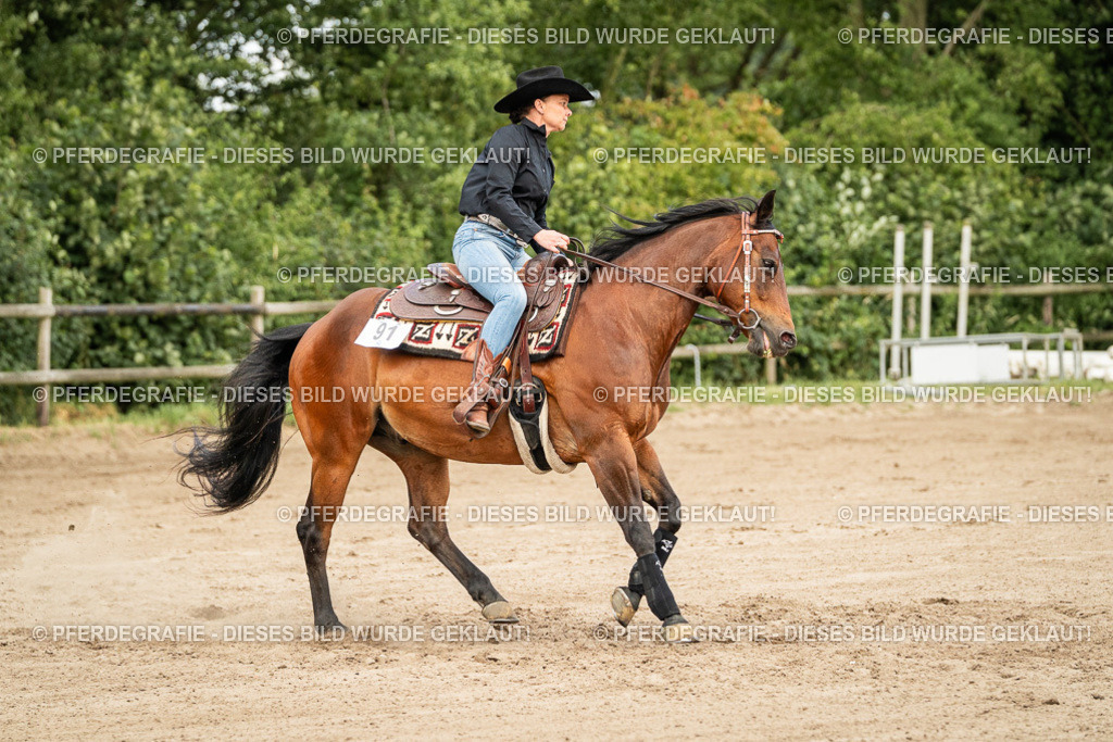 DSC05105 | Pferdegrafie