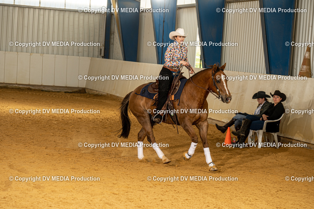 MIT00191 | dv-media-shop - Realisiert mit Pictrs.com