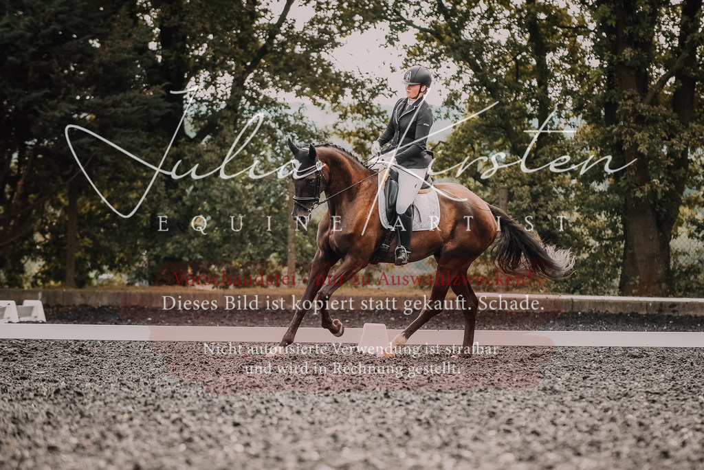 DSC_3733 | Pferde- und Turnierfotografie in Westsachsen. Pferdeportraits, Auftragszeichnungen und intuitive Kunst.