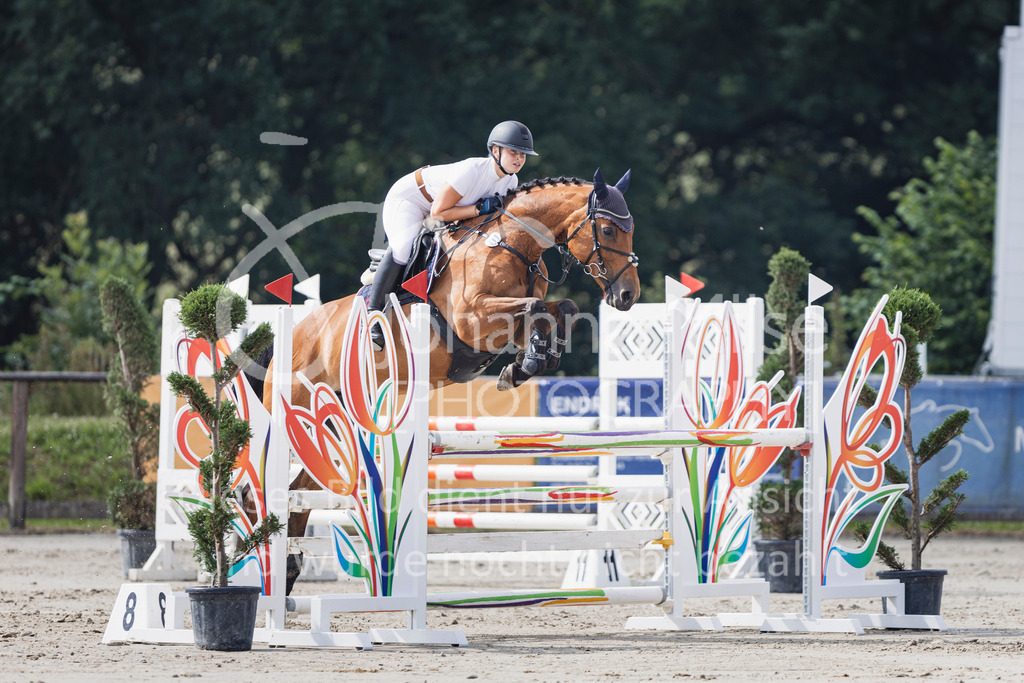 250629_PfSpTa_Stil-L2-321 | Deine schönsten Turniermomente als professionelle Fotos! Entdecke hochwertige Pferdesport-Fotografie im Online-Shop. Jetzt Fotos finden & bestellen!